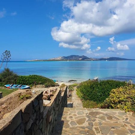 Villa Curiazzi Guesthouse Viale La Pelosa 16 ستينتينو المظهر الخارجي الصورة