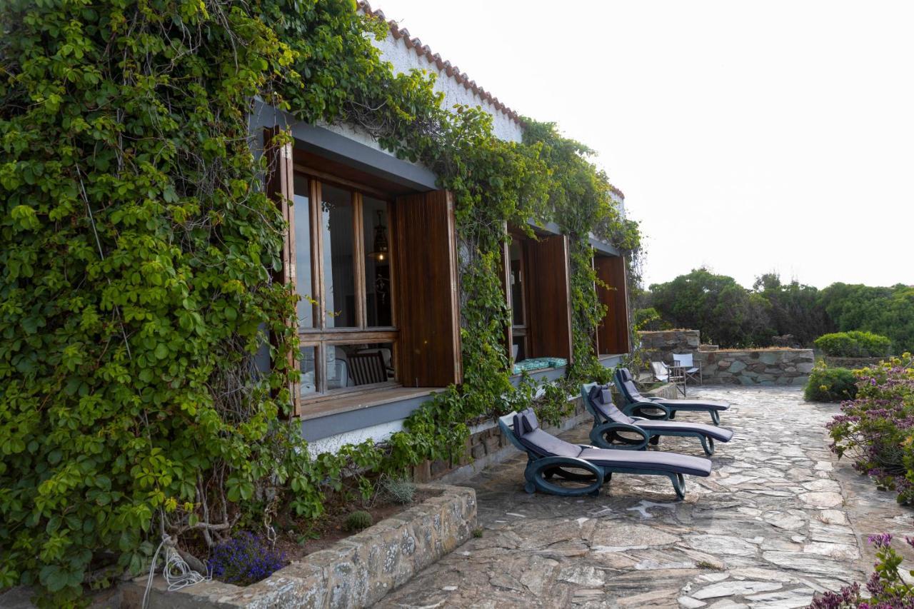 Villa Curiazzi Guesthouse Viale La Pelosa 16 ستينتينو المظهر الخارجي الصورة