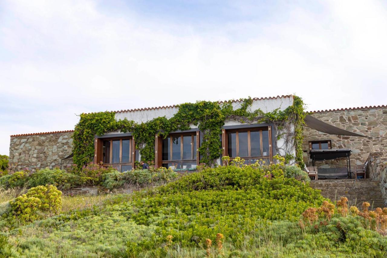 Villa Curiazzi Guesthouse Viale La Pelosa 16 ستينتينو المظهر الخارجي الصورة