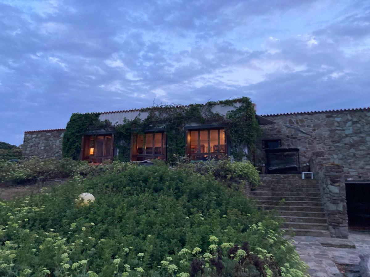 Villa Curiazzi Guesthouse Viale La Pelosa 16 ستينتينو المظهر الخارجي الصورة